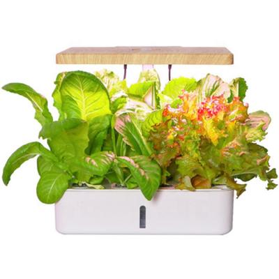 China Chinese Style Soilless Vegetable Sowing Mini Home Seed Planter for sale