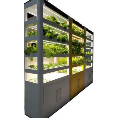 China Farms Home Hydroponic Growing Systems Garden Container Farm Home Decorative Hydroponics for sale