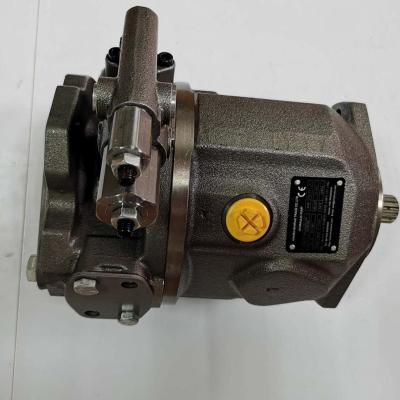 China Exvacator Rexroth hydraulic pump a10v piston pump for parts retainer plate for sale