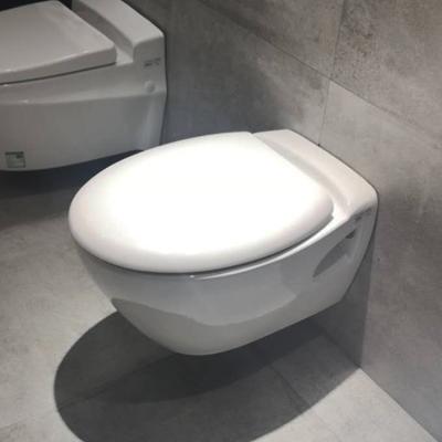 China HEGII Western Rimless Cistern Hotel Sanitary Ware Concealed Cistern Trap Wc Toilet Bowl Wall Mounted Ceramic Wall Hung Wall Hung Toilet for sale