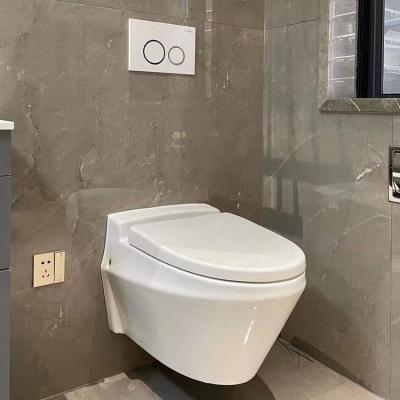 China Double-Flow HEGII Porcelain Cistern Ceramic Sanitary Ware WC Modern Concealed Wall Mounted Wall Mounted Hung Toilet Bowl for sale