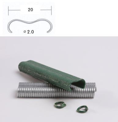 China Flat Fence Staples for sale