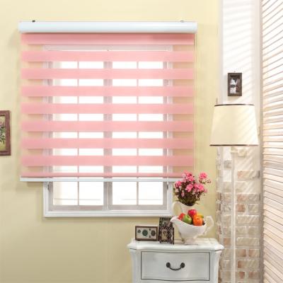 China Modern Design Eco - Friendly Zebra Blinds Blackout Roller Blinds Shades For Home for sale