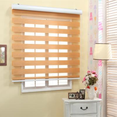 China Casaya Eco-Friendly Transparent Zebra Blinds Dust Proof Shades Blackout Blinds For Home Use for sale