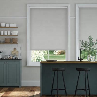 China Eco - Friendly Manual Roller Shades For Window Best Selling Roller Blinds In The Home for sale