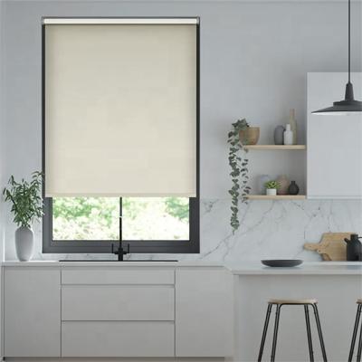 China Eco-friendly New Design / New Style Pattern Window Shades Blackout Roller Blinds Motorized Zebra Blinds For Office for sale