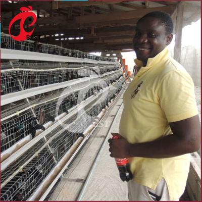 China Chicken Farm Poultry Farm Laying Battery Layer Chicken Cage For Sale for sale