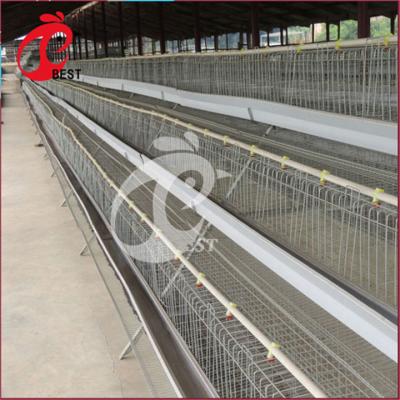 China Chicken farm Poultry Farm A Type Layer Galvanized Egg Chicken Cage In Kenya for sale