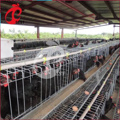 China Chicken Farm Hot Sale Saudi Arabia Poultry Battery Farm Chicken Cage House System For Sale for sale