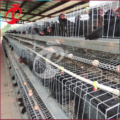 China Chicken Farm Galvanized One Layer Type Tanzania Poultry Farm Chicken Cage For Sale for sale