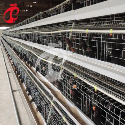 China Chicken Farm Hot Sale 3 Tiers 120 Capacity One Layer Type Chicken Cage For Poultry for sale