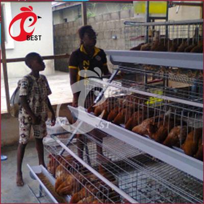 China Hot Sale 3 Rows Of Chicken Farm One Type Egg Laying Poultry Farm Hen Layer Chicken Cage For for sale