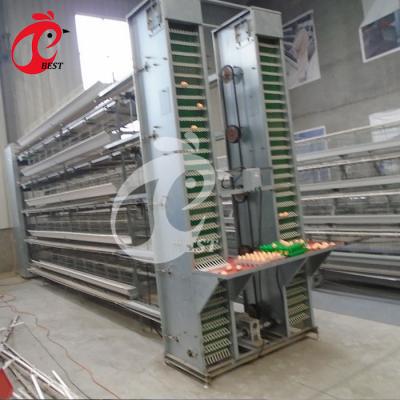 China Chicken Farm Egg Layer Chicken Cage For South Africa Poultry Farm Chicken House for sale