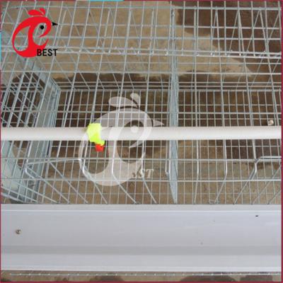 China Chicken Farm Chicken Egg Layer One Type 4 Tier 5 Door Chicken Cage In South Africa for sale