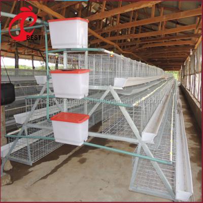 China Chicken Farm Fertilizer Removal System for sale