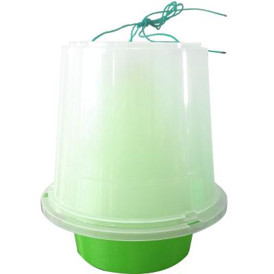 China Viable V-Market Hot Selling Fruit Fly Trap 50-100 square meters Fly Trap Machine for sale