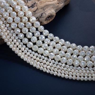 China Natural White Paua FASHIONABLE Shell Handmade Accessories Wholesale from Shell Necklace Mosaic Round Beads Shell Beads Bracelet for sale