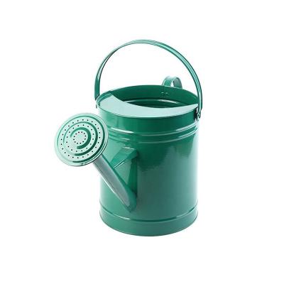 China Watering Plants Stainless Steel Metal Watering Can With Long Spout Water Can Plantas for sale