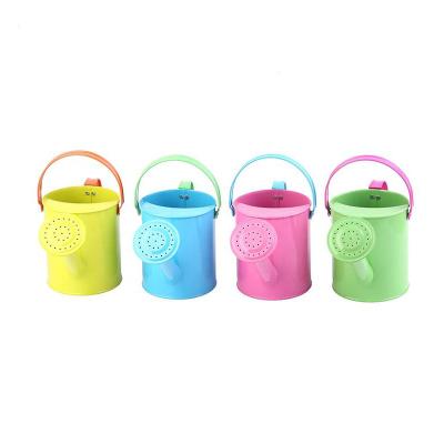 China Garden Tools Plant Watering Pot Metal Watering Can Cheap Metal Watering Can for sale