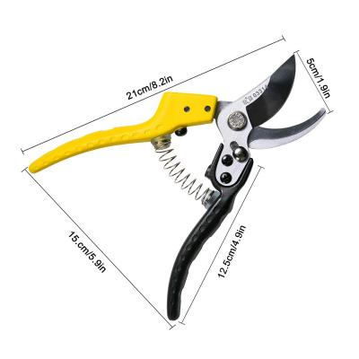 China Garden Tools Anti-Slip Handle Fruit Tree Shears Farm Plant Branch Cutter Garden Balancing Scissors For Garden for sale