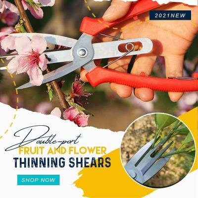 China Non-Slip Handle Long Straight Needle Nose Flower Gardening Shears Hand Pruner Pruner Pruning Floral Scissors Horticultural Tools for sale