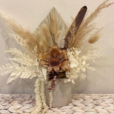 China Touch Factory Price Wedding Decoration Small Natural Direct Best Beige Grass Dried Flowers for sale