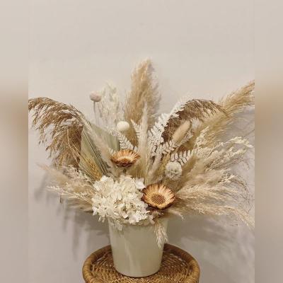 China Natural touch dried flowers and plants popular home interior decoration wholesale natural pampas grass for sale