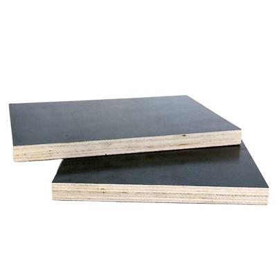 China Best Quality 18MM Traditional Concrete Shuttering Plywood for sale