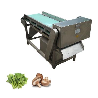 China Automatic Fruit Chopper Slicer Vegetable Cutter Multi-Functional And High Efficiency for sale