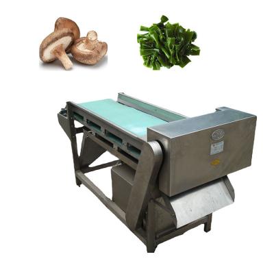 China Fruit Vegetable Electric Cutter Multifunctional High Efficiency Stainless Steel Shiitake Mushroom Ultra Thin Slicer for sale