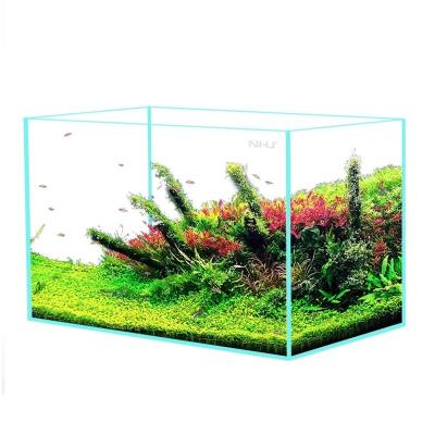 China Sustainable Jinjing Five Lines Ultra-White Glass Fish Tank Aquarium Accessory for sale