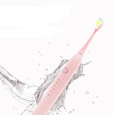 China New Battery Operated Sonic Power Silent Electric Toothbrush for sale