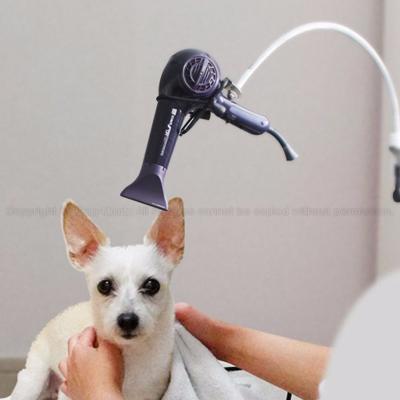 China Foldable Dogs Cats Pets Hair Dryer Holder Hands Free Holders For Hair Blow for sale