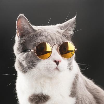 China Wholesale Cute Viable Metal Dog Cat Glasses Classic Retro Circular Funny Glasses for sale