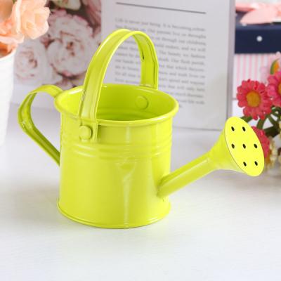 China Metal Shower Tin Watering Can Portable Wrought Iron Metal Watered With Handle Gardening Tools Plant Spray for sale