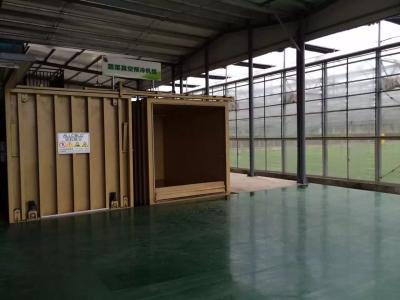 Cina Fiori/frutti/macchina di raffreddamento dei dispositivi di raffreddamento di vuoto rapida dei funghi in vendita