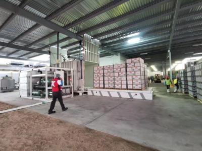 Chine Machine fraîche légume/de champignons/fleurs réfgigération sous vide (1-24pallets) à vendre