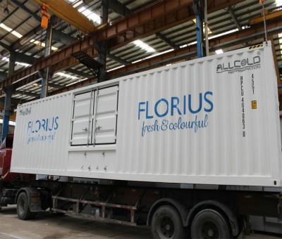 China Máquina de enfriamiento de la flor por encargo/vacío durable del sistema de enfriamiento en venta