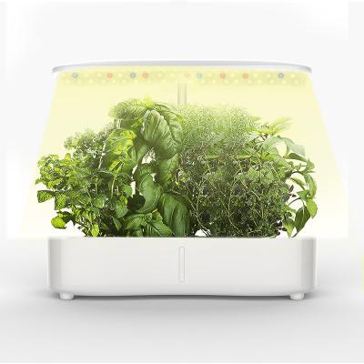 China Seed Starting Hydroponic High Power 36W LED Touch Control Plant Lamp For Vegetables And Flowers for sale