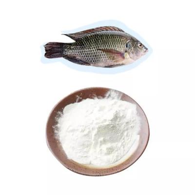 China Food Grade hydrolyzed collagen type I Fish collagen Peptide to keep skin moisturizing for sale