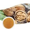 China Hersteller liefern beste Preis Gesundheitswesen-Produkt-Massenwalnuß Shell Powder Walnut Extract zu verkaufen