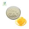 China FTY Bulk Nature hot sale lemon juice powder for sale