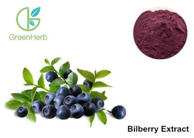 China Pure Dark Bilberry Fruit Extract 25% Anthocyanin For Eyes Health for sale