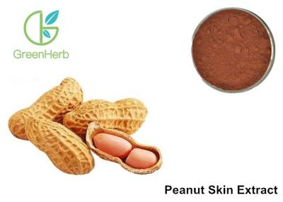 China Food Grade Peanut Skin Nutrition Extract Natural Reddish - Brown Powder for sale