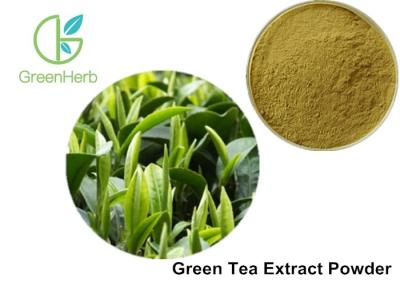 China Health Product 98% Polyphenol Pure Green Tea Extract Catechin 70% / EGCG 50% for sale