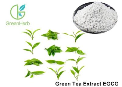 China EGCG Green Tea Extract Anti - Tumor Effect For Pharmaceutical Industries for sale