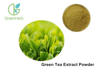 China Pure Natural Green Tea Extract Powder Tea Polyphenols / Catechin / EGCG for sale