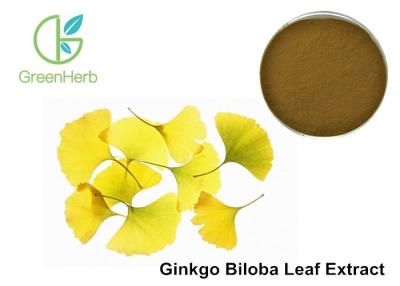 China Nutritional Supplements Organic Ginkgo Biloba Powder Total Flavones Glycoside 24% for sale