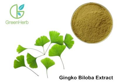 China High Purity Ginkgo Biloba Leaf Extract Powder Anti - Hypoxia Effect for sale