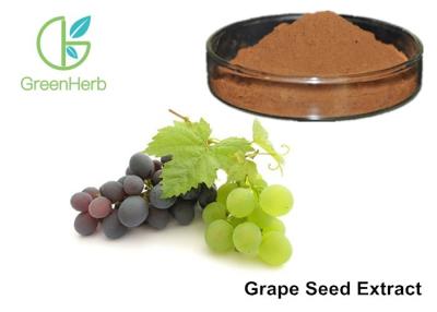 China Healthy Care Pure Grapeseed Extract 95% Polyphenols Anti - Oxidant For Skin for sale